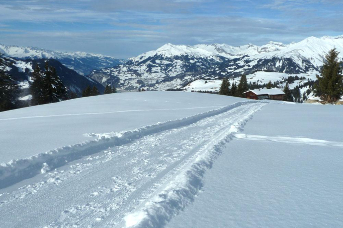 Kurz nach dem höchsten Punkt; Panoramablick aufs vordere Prättigau Kurz nach dem höchsten Punkt; Panoramablick aufs vordere Prättigau