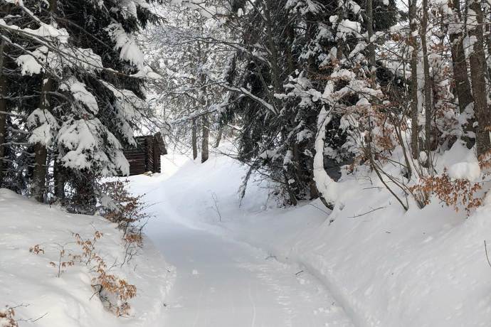 Winterwanderweg Fanas Winterwanderweg Fanas