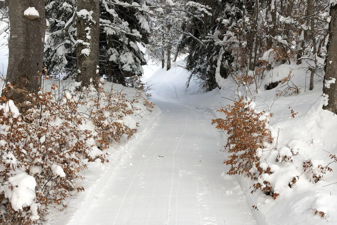Winterwanderweg Fanas Winterwanderweg Fanas