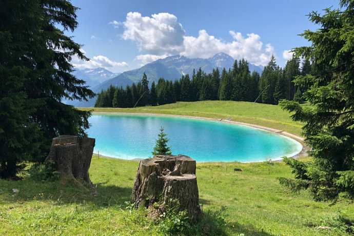 Speichersee in der Nähe vom Triel. Speichersee in der Nähe vom Triel.