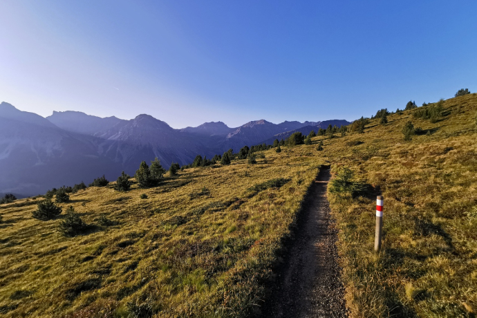 Vom Maraner Hauptji runter zur LAW-Mittelstation, kurz vor dem Föhrenwald Vom Maraner Hauptji runter zur LAW-Mittelstation, kurz vor dem Föhrenwald