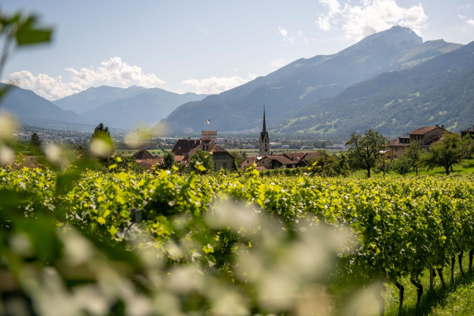Dorf Malans und Reben Dorf Malans und Reben