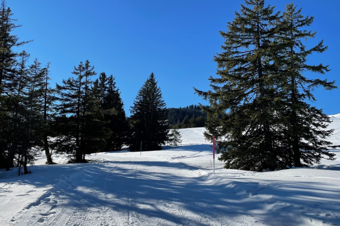 Winterwanderweg Tannenheim-Prodalp Winterwanderweg Tannenheim-Prodalp