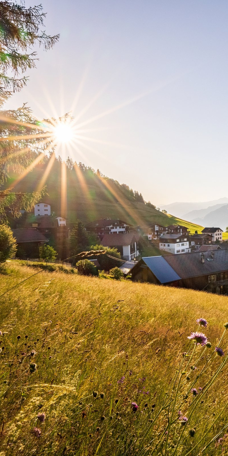 Morgenlicht über Ladir – das charmante Dorf in der Surselva mit Blick ins Vorderrheintal (Foto: © Marco Hartmann) Sommerliche Landschaft mit dem Dorf Ladir in der Surselva im Gegenlicht der aufgehenden Sonne