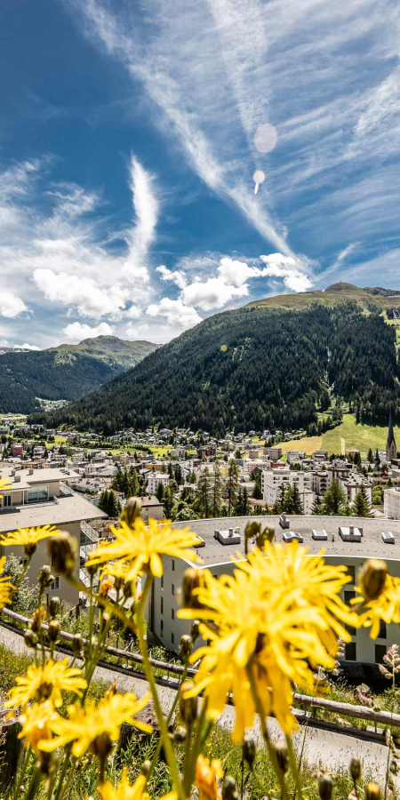 Davos (Foto: © Destination Davos Klosters, Andrea Badrutt) Blick auf das sommerliche Davos mit Sonnenblumen im Vordergrund