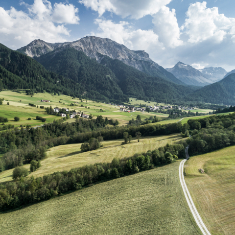 Biosfera Val Müstair (Foto: © Gaudenz Danuser) Biosfera Val Müstair im Sommer