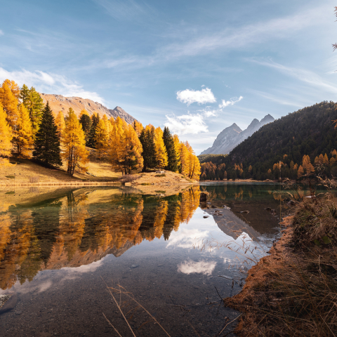 The Lai da Palpuogna on the Albula Pass is considered one of the most beautiful mountain lakes in Switzerland (Photo: © Marco Hartmann) The Lai da Palpuogna in autumn, surrounded by golden larches