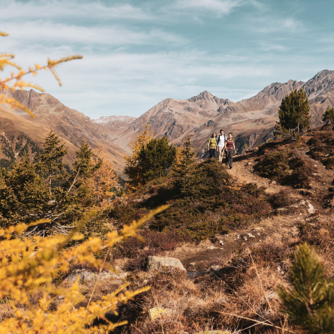 Herbstwanderung auf dem Panoramaweg Darlux bei Bergün (Foto: © Marco Hartmann) Wandergruppe auf dem Panoramaweg Darlux bei Bergün umgeben von herbstlichen Lärchen und Bergen