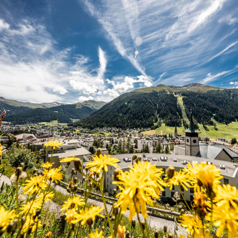 Davos (Foto: © Destination Davos Klosters, Andrea Badrutt) Blick auf das sommerliche Davos mit Sonnenblumen im Vordergrund