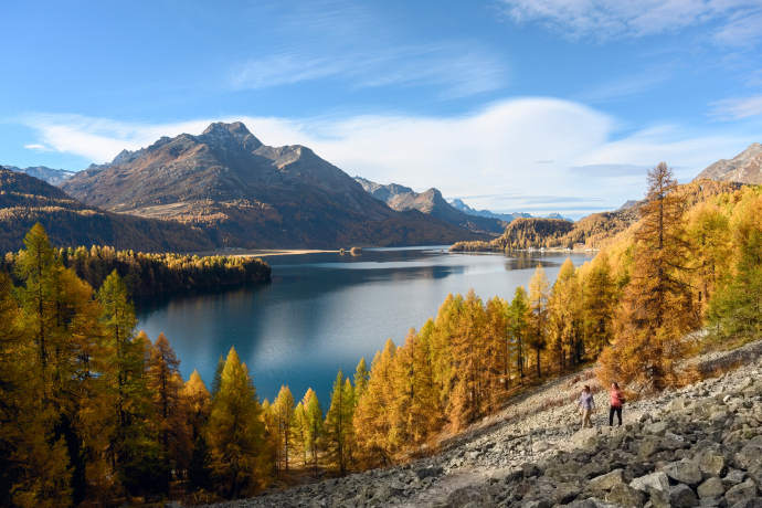 Herbstliche Szenerie am Silsersee im Engadin (Foto: © Engadin Tourismus AG / Gian Giovanoli) Herbstliche Szenerie am Silsersee im Engadin: goldgelbe Lärchen spiegeln sich im ruhigen Wasser, während die Berge im Hintergrund die Szene umrahmen
