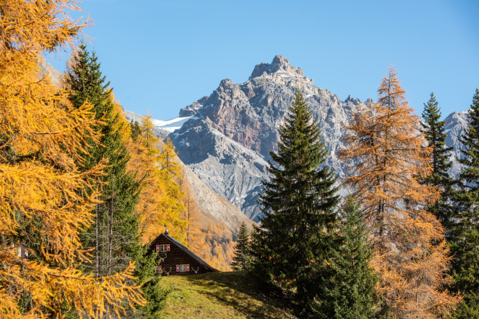 Parkhütte Varusch (Foto: © Schweizer Nationalpark / Hans Lozza) Parkhütte Varusch