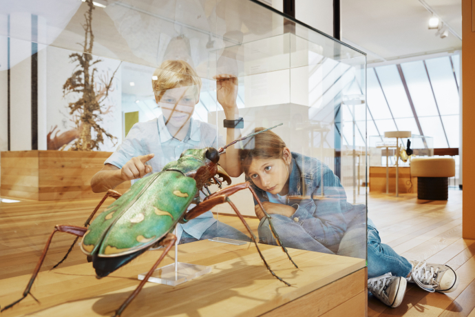 Bündner Naturmuseum (Foto: © Schweiz Tourismus / Hannes Heinzer Fotografie) Zwei Kinder bestaunen ein Modell eines Käfers im Bündner Naturmuseum