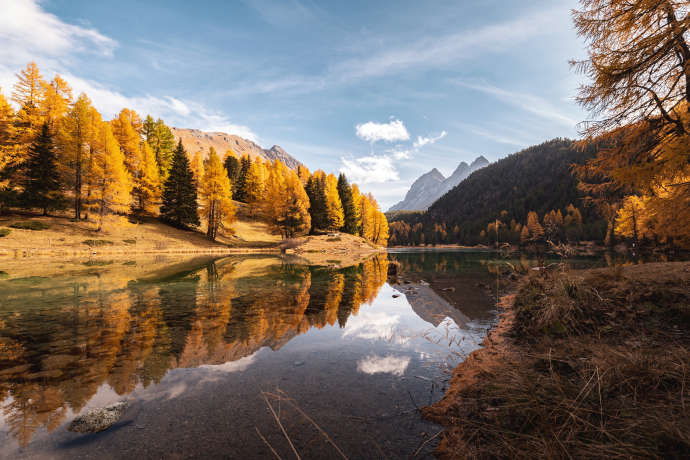 Der Lai da Palpuogna am Albulapass gilt als einer der schönsten Bergseen der Schweiz (Foto: © Marco Hartmann) Herbststimmung am Lai da Palpuogna mit goldgelben Lärchen und Bergpanorama