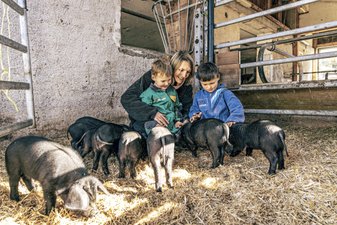 Kinder spielen mit Schweinen auf dem Bauernhof Pütschai Josom in der Val Müstair