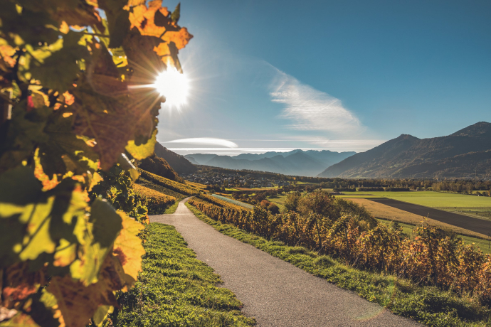 2010 erhielt Fläsch für seine Ortsplanung den Wakkerpreis des Schweizer Heimatschutzes (Foto: © Schweiz Tourismus / Tina Sturzenegger) Blick auf das Dorf Fläsch in der Weinregion Bündner Herrschaft