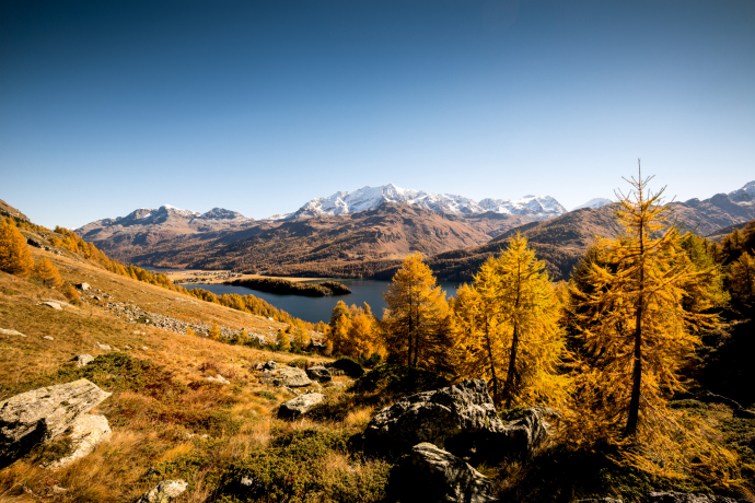 Herbstpanorama über dem Silsersee im Oberengadin (Foto: © Schweiz Tourismus / Markus Aebischer) Herbstpanorama über dem Silsersee im Oberengadin