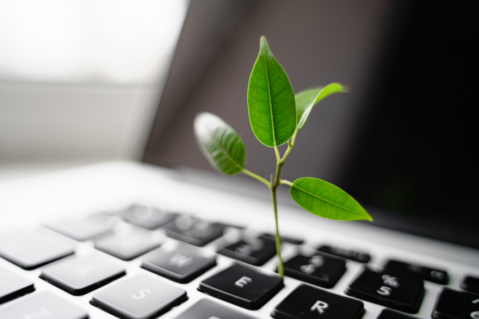 Kleiner grüner Baum wächst aus Laptoptastatur und versinnbildlicht die digitale Nachhaltigkeit Kleiner grüner Baum wächst aus Laptoptastatur