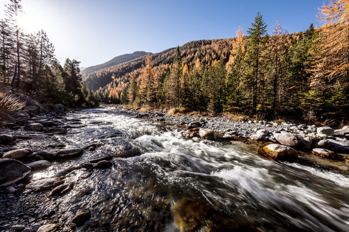 Unterengadin im Herbst (Foto: © Andrea Badrutt) Der Inn im Unterengadin im Herbst