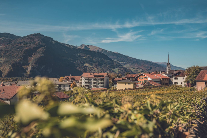 Rebberge Malans in der Bünder Herrschaft (Foto: © Tina Sturzenegger) Rebberge Malans in der Bünder Herrschaft