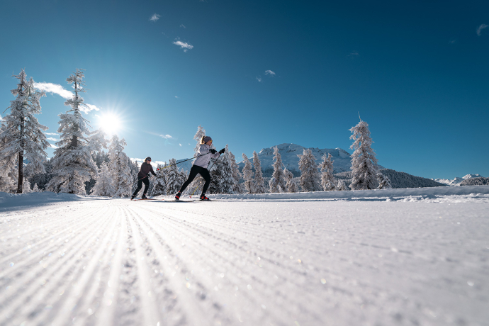 Traumhafte Loipen im Oberengadin (Foto: © Filip Zuan) Langläufer auf der Loipe durch verschneiten Winterwald im Oberengadin