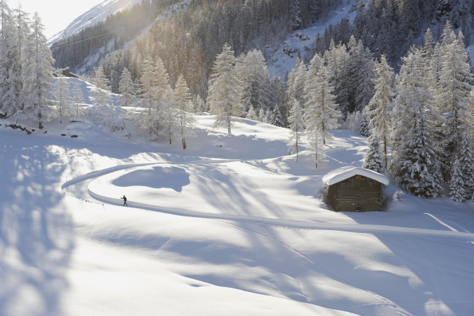 Langlaufen Davos Langlaufen Davos