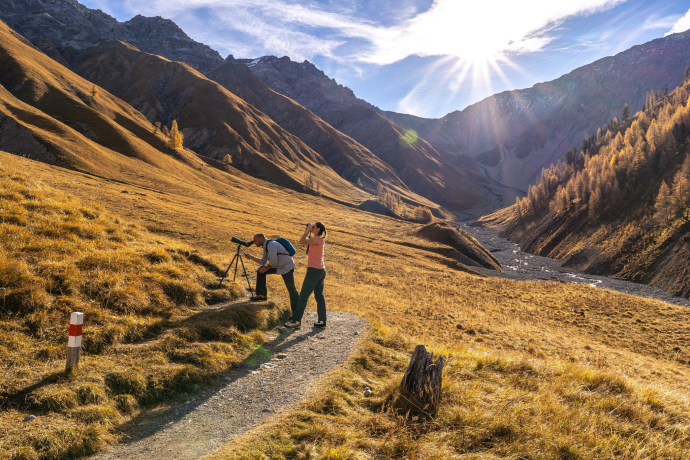 Wanderer beobachten Wildtiere im Val Trupchun (Foto: © Engadin Tourismus AG) Wanderer beobachten Wildtiere im Val Trupchun (Foto: © Engadin Tourismus AG)