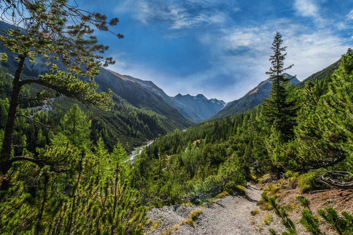Schweizerischer Nationalpark Schweizerischer Nationalpark
