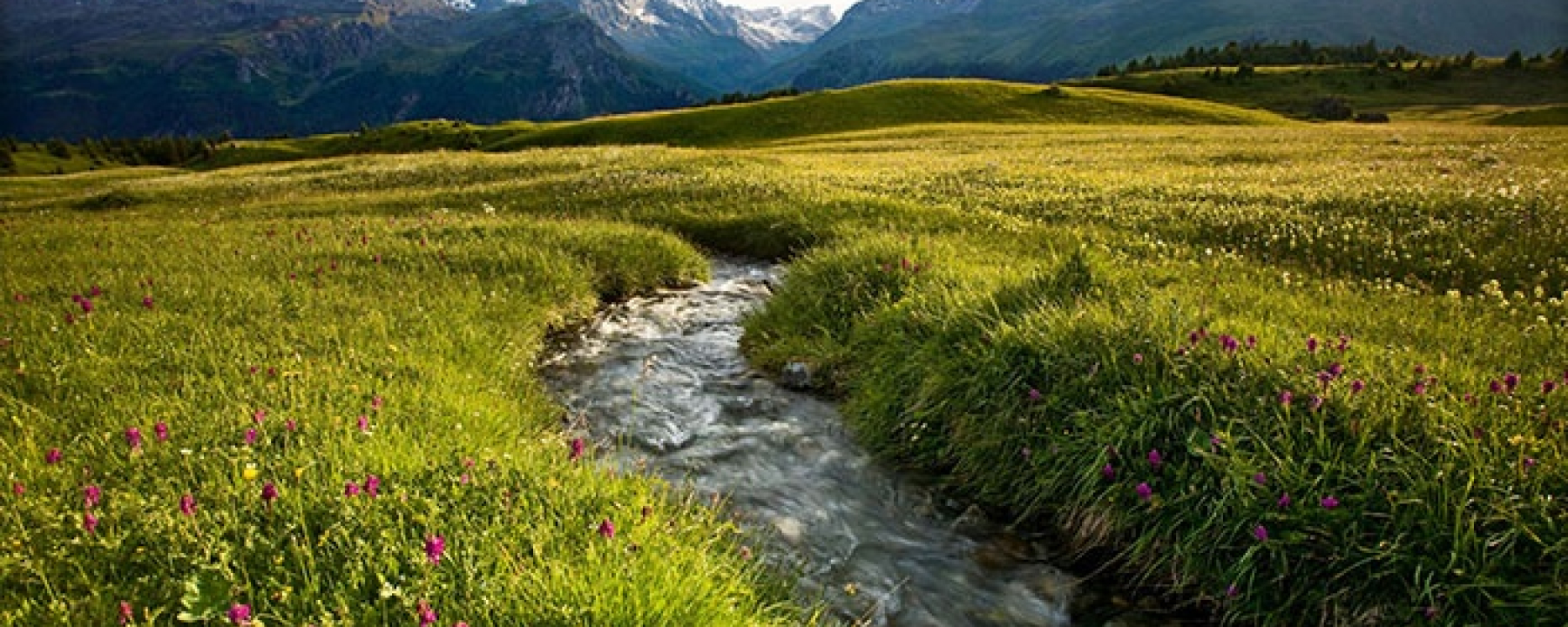 Parc Ela - Grösster Naturpark Der Schweiz | Graubünden Ferien