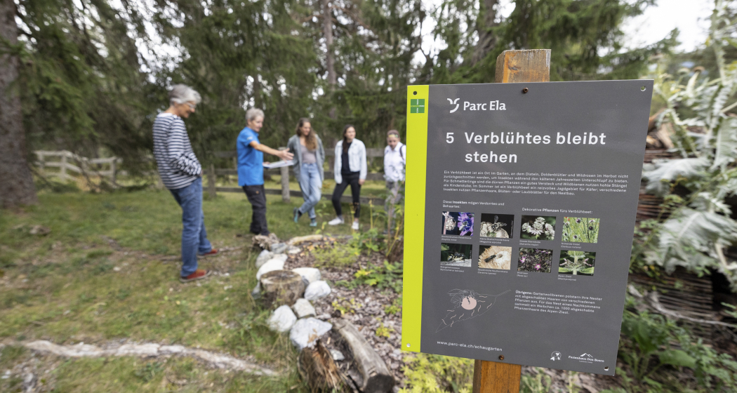 Biodiversität und Insekten (nsp_img_e344ee0) Biodiversität und Insekten (nsp_img_e344ee0)