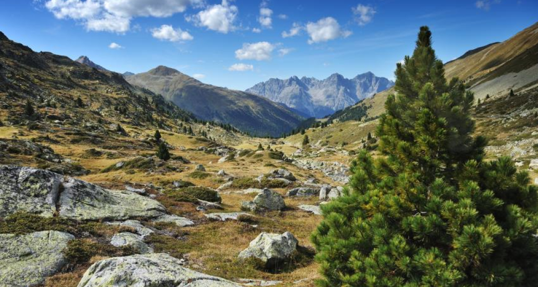 43 Jakobsweg Gesamttour (20 Etappen) 43 Jakobsweg Gesamttour (20 Etappen)