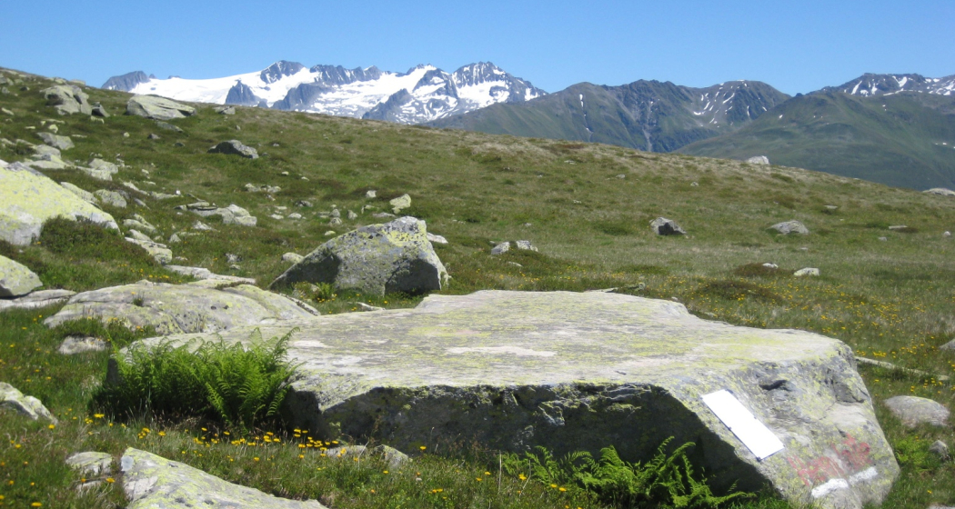Hexenplatte mit Piz Medel im Sommer Hexenplatte mit Piz Medel im Sommer