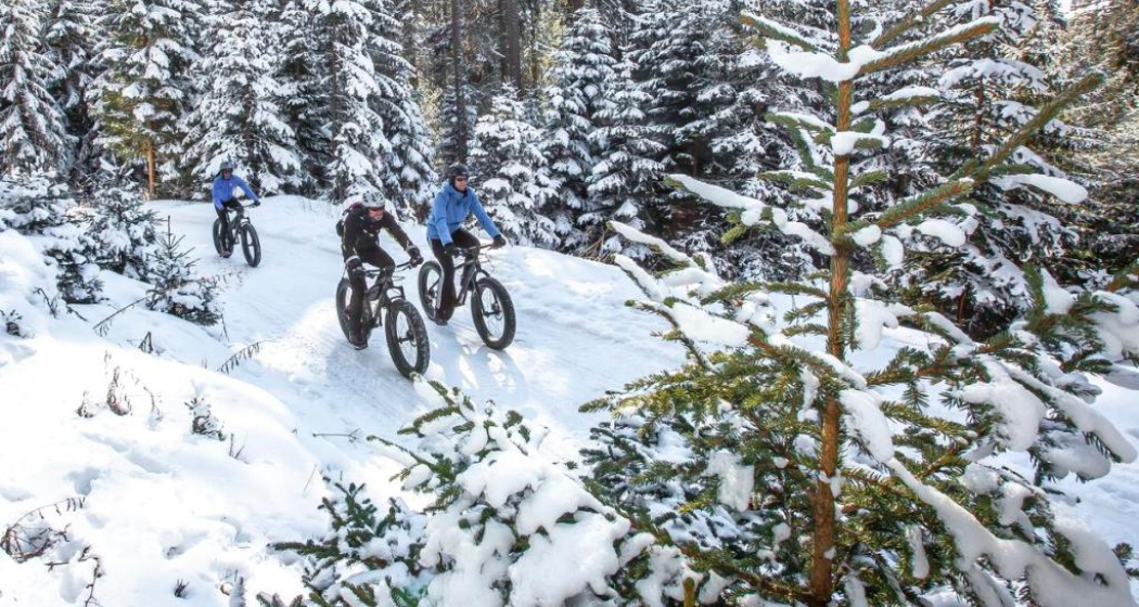 Fatbike Tour Lenzerheide Fatbike Tour Lenzerheide