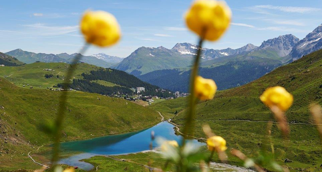 Schwellisee Schwellisee