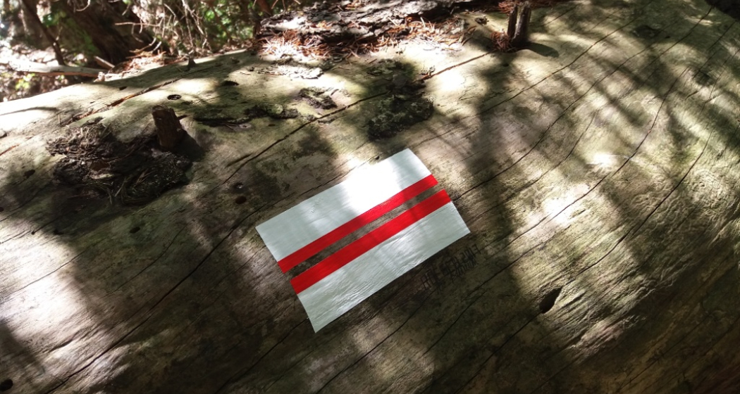 Der funkelnde Federstrich Der funkelnde Federstrich