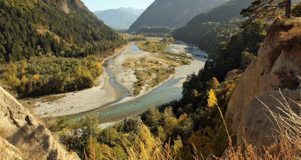 Rheinauen Rhäzüns Rheinauen Rhäzüns