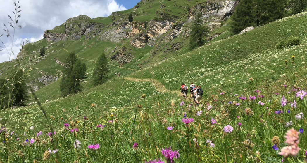 Suchen mit der App Suchen mit der App