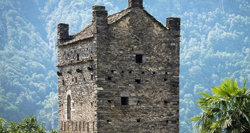 Grono (oua_28352488_image) Grono (oua_28352488_image)