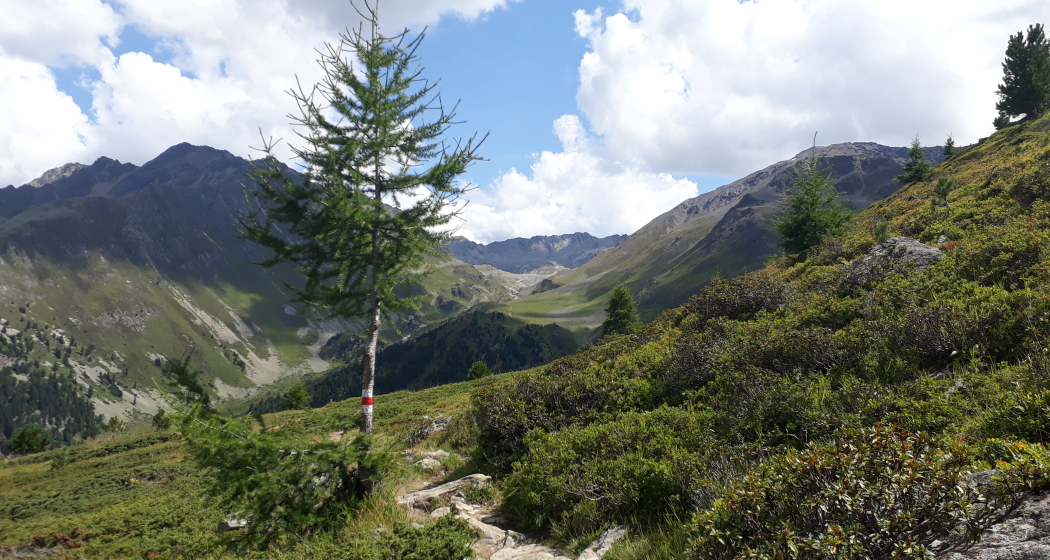Panoramaweg Darlux (oua_33182246_image) Panoramaweg Darlux (oua_33182246_image)