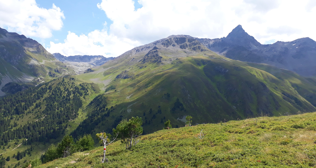 Blick zum Piz Kesch Blick zum Piz Kesch