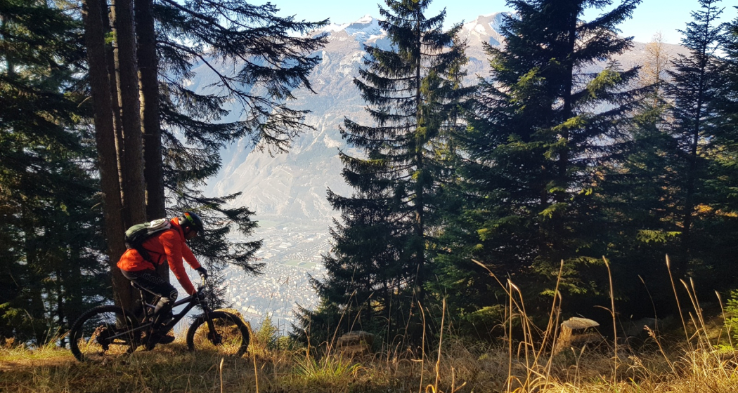 Ochsenberg Trail Ochsenberg Trail