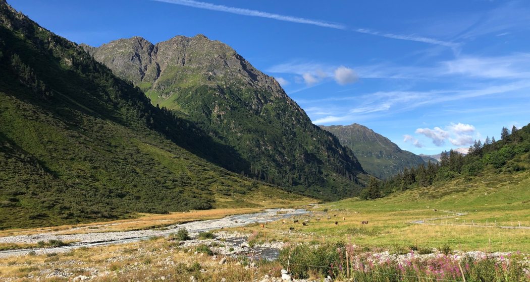 Alp Sardasca Alp Sardasca