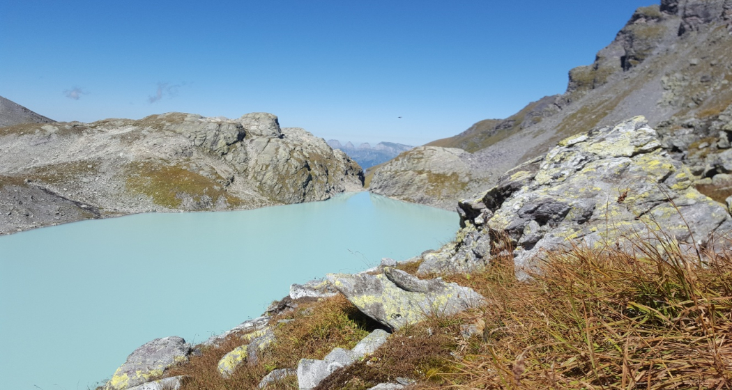 Wildsee mit Churfirsten im Hintergrund Wildsee mit Churfirsten im Hintergrund