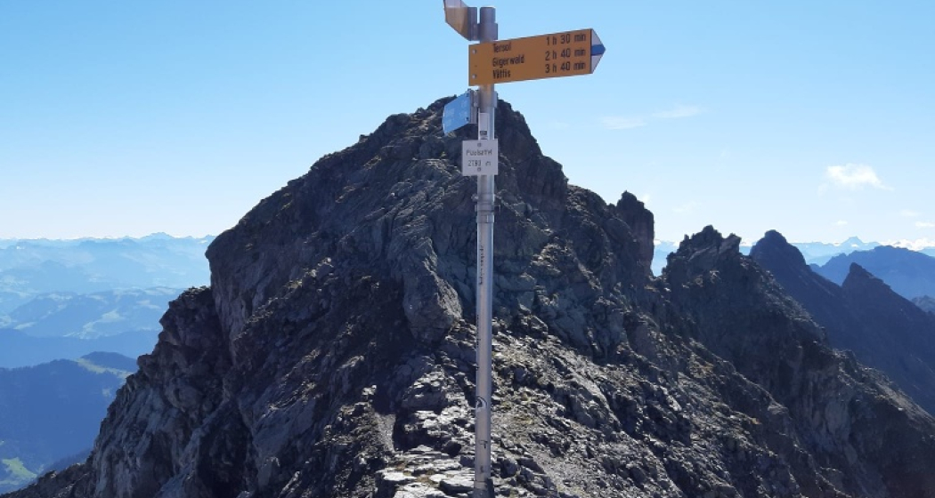Wegweiser Pizolsattel Wegweiser Pizolsattel
