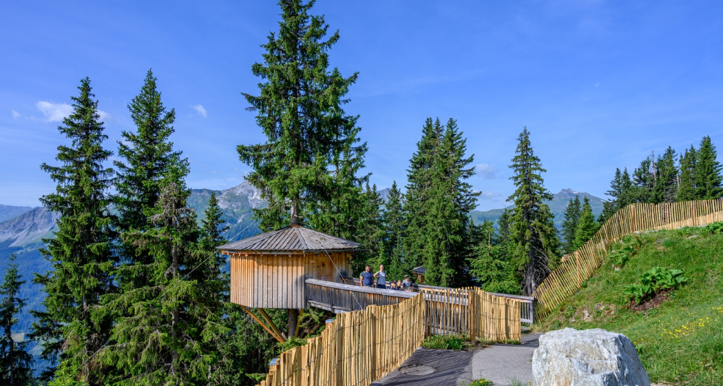 Madrisa - Saas (oua_59048190_image) Madrisa - Saas (oua_59048190_image)