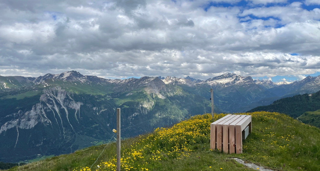 Beobachtungsbank mit Aussicht in die Val Schons bei der Alp digl Oberst Beobachtungsbank mit Aussicht in die Val Schons bei der Alp digl Oberst