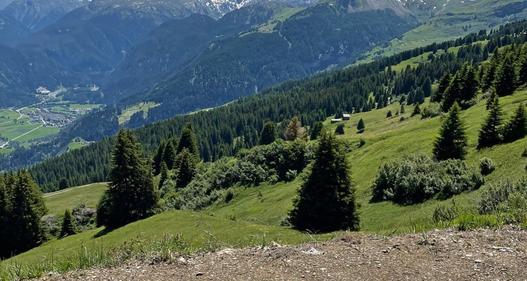 Beobachtungsbank mit Aussicht in die Val Schons bei Summapunt Beobachtungsbank mit Aussicht in die Val Schons bei Summapunt