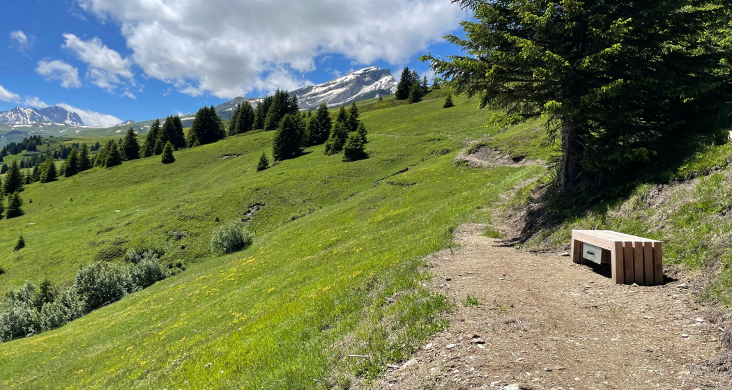 Beobachtungsbank mit Aussicht in die Val Schons bei Summapunt Beobachtungsbank mit Aussicht in die Val Schons bei Summapunt