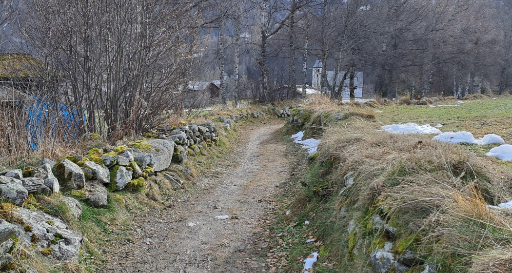 steingesäumter Weg steingesäumter Weg
