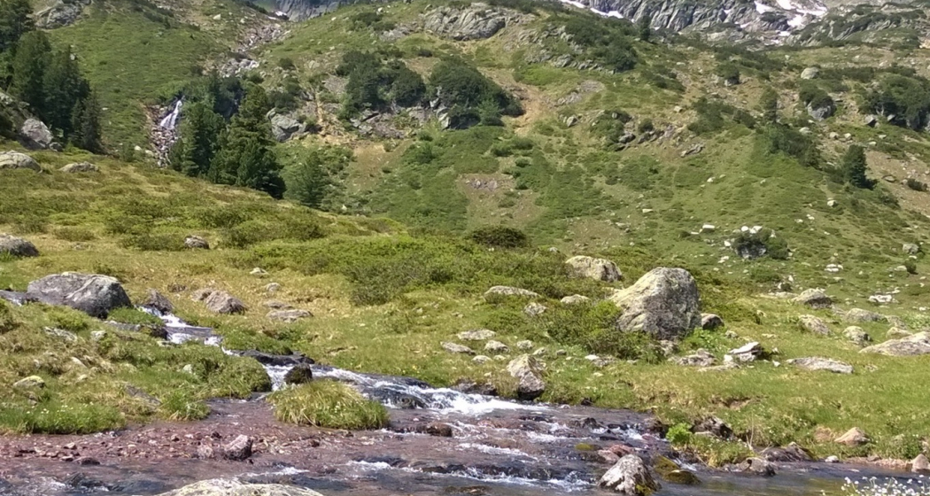 Fischen in den Bergbächen am Flumserberg Fischen in den Bergbächen am Flumserberg