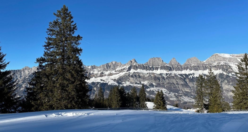 Tannenboden-Seebenalp/Chrüz Ausblick auf Churfirsten Tannenboden-Seebenalp/Chrüz Ausblick auf Churfirsten